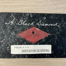 Piece of Real Coal Novelty