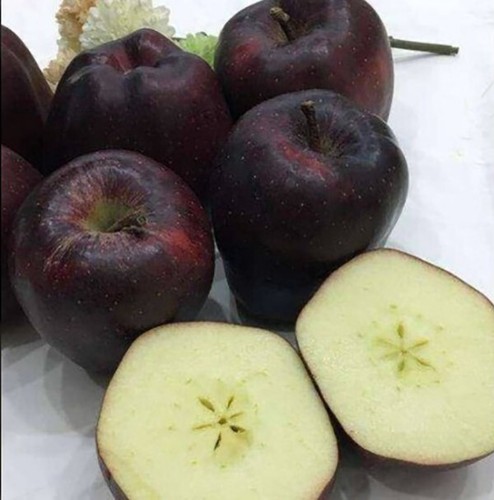 Black diamond apple - black,